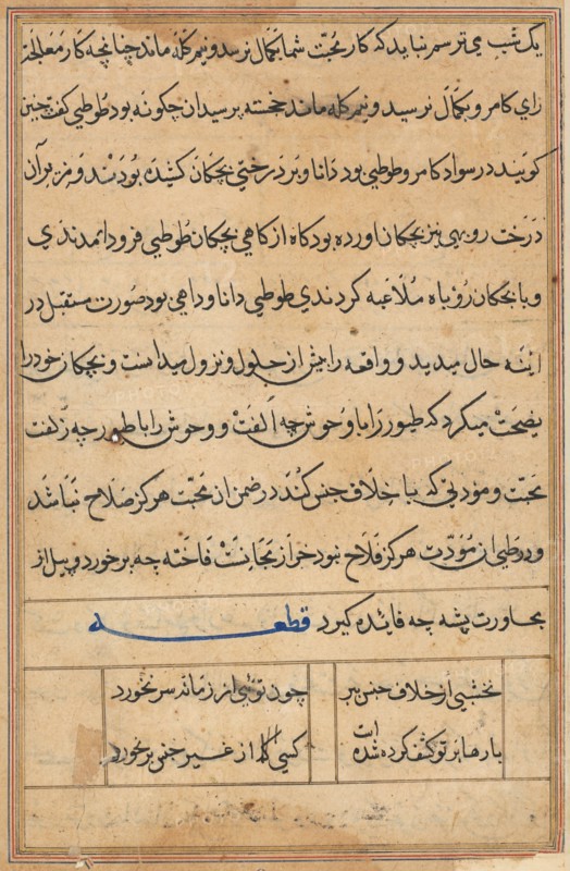 Page from Tales of a Parrot (Tuti-nama): text page, c. 1560. India, Mughal, Reign of Akbar, 16th century. Ink and gold on paper; overall: 20 x 14.4 cm (7 7/8 x 5 11/16 in.); text field: 16.5 x 10.6 cm (6 1/2 x 4 3/16 in.).