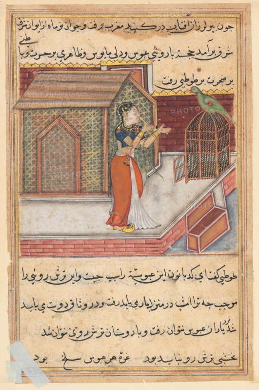 Page from Tales of a Parrot (Tuti-nama): Forty-ninth night: The parrot addresses Khujasta at the beginning of the forty-ninth night, c. 1560. India, Mughal, Reign of Akbar, 16th century. Opaque watercolor, ink and gold on paper;