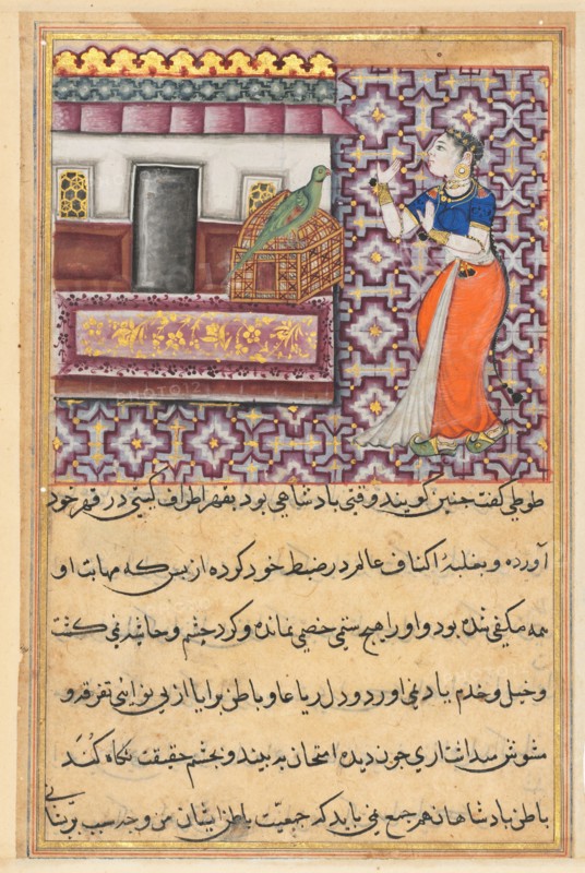 Page from Tales of a Parrot (Tuti-nama): Fiftieth night: The parrot addresses Khujasta at the beginning of the fiftieth night, c. 1560. India, Mughal, Reign of Akbar, 16th century. Opaque watercolor, ink and gold on paper;