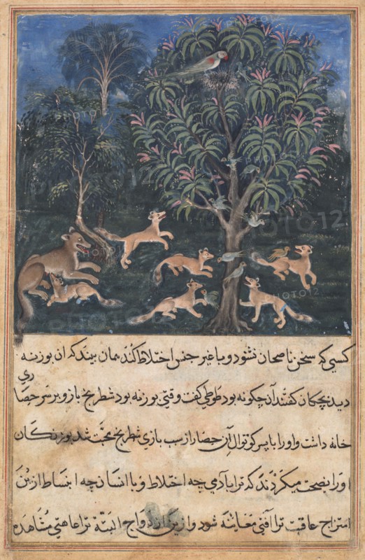 Page from Tales of a Parrot (Tuti-nama): Fifth night: The parrot mother cautions her young on the danger of playing with foxes, c. 1560. Daswanth (Indian). Opaque watercolor, gold and ink on paper;