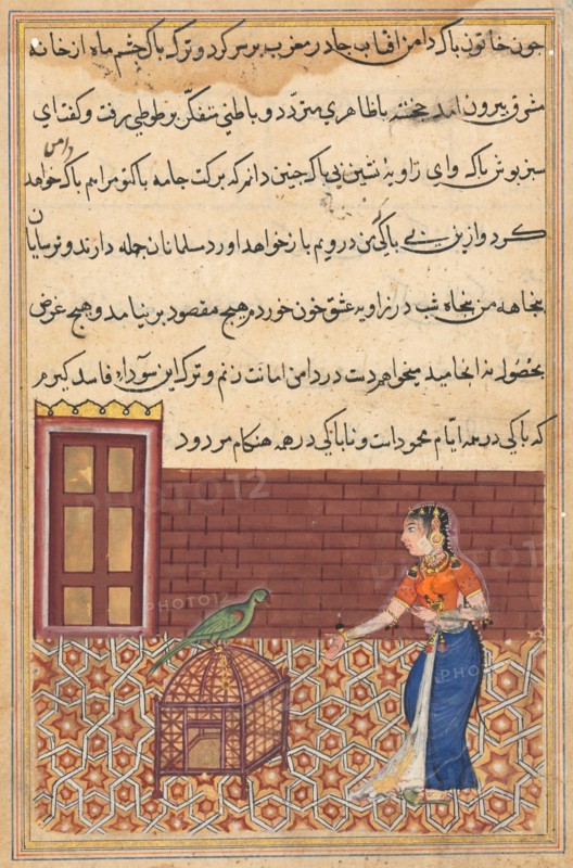 Page from Tales of a Parrot (Tuti-nama): Fifty-first night: The parrot addresses Khujasta at the beginning of the fifty-first night, c. 1560. India, Mughal, Reign of Akbar, 16th century. Opaque watercolor, ink and gold on paper;