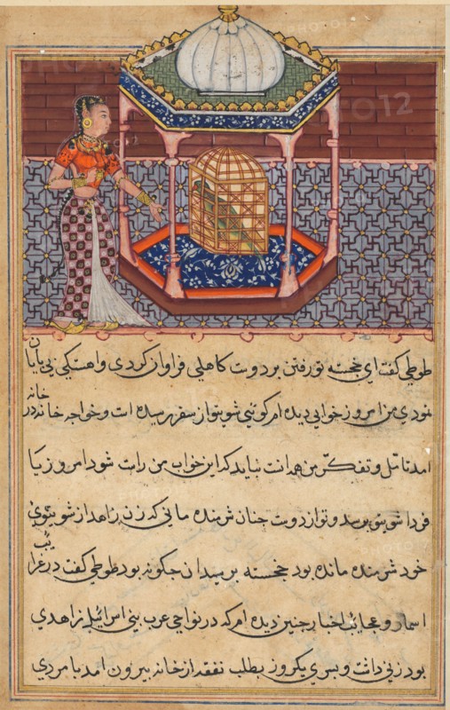 Page from Tales of a Parrot (Tuti-nama): Fifty-second night: The parrot addresses Khujasta at the beginning of the fifty-second night, c. 1560. India, Mughal, Reign of Akbar, 16th century. Opaque watercolor, ink and gold on paper;