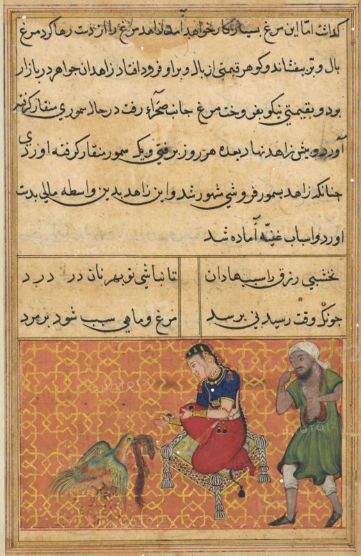 Page from Tales of a Parrot (Tuti-nama): Fifty-second night: The bird of seven colors brings a sable to the pious man, c. 1560. India, Mughal, Reign of Akbar, 16th century. Opaque watercolor, ink and gold on paper;