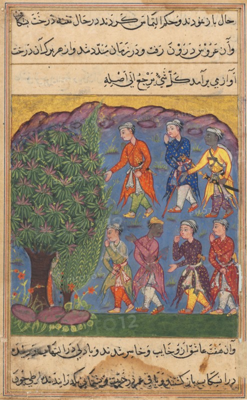 Page from Tales of a Parrot (Tuti-nama): Sixth night: Seven men disputing possession of a woman bring her before the Tree of Justice into which she is absorbed, c. 1560. India, Mughal, Reign of Akbar, 16th century. Opaque watercolor, ink and gold on paper; overall: 20 x 14.3 cm (7 7/8 x 5 5/8 in.).