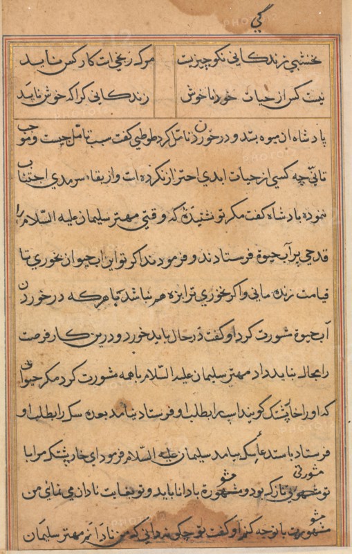 Page from Tales of a Parrot (Tuti-nama): text page, c. 1560. India, Mughal, Reign of Akbar, 16th century. Ink and gold on paper; overall: 20 x 14.4 cm (7 7/8 x 5 11/16 in.); text field: 16.1 x 10.2 cm (6 5/16 x 4 in.).