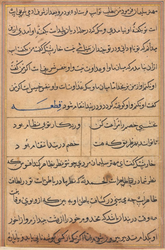 Page from Tales of a Parrot (Tuti-nama): text page, c. 1560. India, Mughal, Reign of Akbar, 16th century. Ink and gold on paper; overall: 20 x 14.4 cm (7 7/8 x 5 11/16 in.); text field: 15.9 x 10.2 cm (6 1/4 x 4 in.).