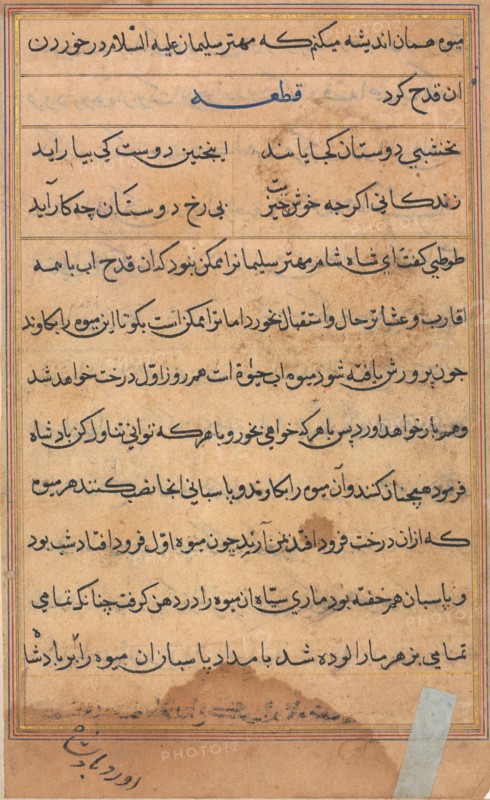 Page from Tales of a Parrot (Tuti-nama): text page, c. 1560. India, Mughal, Reign of Akbar, 16th century. Ink and gold on paper; overall: 20 x 14.5 cm (7 7/8 x 5 11/16 in.); text field: 16.1 x 10.1 cm (6 5/16 x 4 in.).