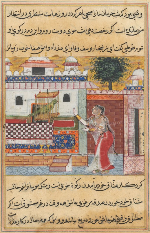 Tales of a Parrot (Tuti-nama): The Twelfth Night: the parrot addresses Khujasta at the beginning of the twelfth night, c. 1560. India, Mughal court, reign of Akbar (1556-1605), 16th century. Opaque watercolor, gold, and ink on paper;