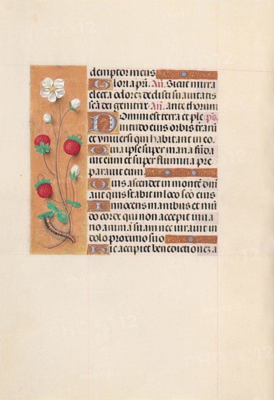 Hours of Queen Isabella the Catholic, Queen of Spain:  Fol. 102v, c. 1495-1500. And associates Master of the First Prayerbook of Maximillian (Flemish, c. 1444-1519). Ink, tempera, and gold on vellum; codex: 22.5 x 15.2 cm (8 7/8 x 6 in.).