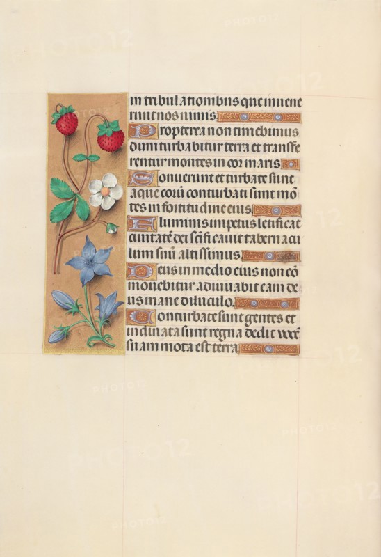 Hours of Queen Isabella the Catholic, Queen of Spain:  Fol. 105v, c. 1495-1500. And associates Master of the First Prayerbook of Maximillian (Flemish, c. 1444-1519). Ink, tempera, and gold on vellum; codex: 22.5 x 15.2 cm (8 7/8 x 6 in.).