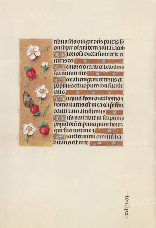 Hours of Queen Isabella the Catholic, Queen of Spain:  Fol. 106v, c. 1500. And associates Master of the First Prayerbook of Maximillian (Flemish, c. 1444-1519). Ink, tempera, and gold on vellum; codex: 22.5 x 15.2 cm (8 7/8 x 6 in.)
