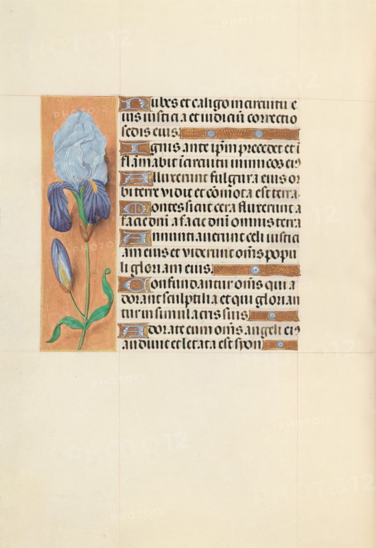 Hours of Queen Isabella the Catholic, Queen of Spain:  Fol. 108v, c. 1495-1500. And associates Master of the First Prayerbook of Maximillian (Flemish, c. 1444-1519). Ink, tempera, and gold on vellum; codex: 22.5 x 15.2 cm (8 7/8 x 6 in.).