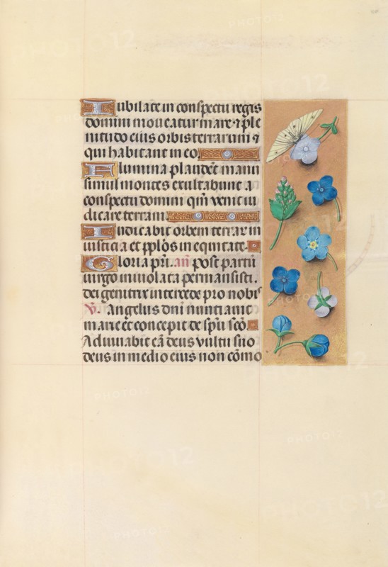 Hours of Queen Isabella the Catholic, Queen of Spain:  Fol. 110r, c. 1500. And associates Master of the First Prayerbook of Maximillian (Flemish, c. 1444-1519). Ink, tempera, and gold on vellum; codex: 22.5 x 15.2 cm (8 7/8 x 6 in.)