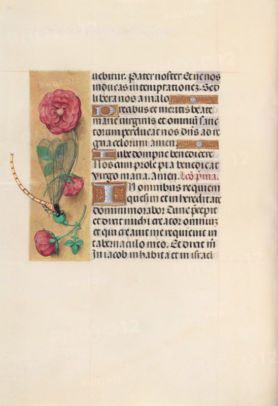 Hours of Queen Isabella the Catholic, Queen of Spain:  Fol. 110v, c. 1500. And associates Master of the First Prayerbook of Maximillian (Flemish, c. 1444-1519). Ink, tempera, and gold on vellum; codex: 22.5 x 15.2 cm (8 7/8 x 6 in.)