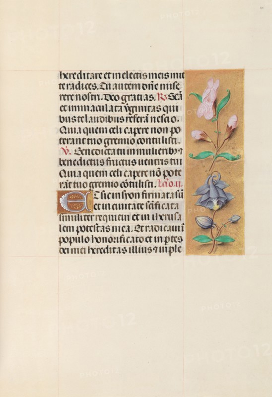 Hours of Queen Isabella the Catholic, Queen of Spain:  Fol. 111r, c. 1500. And associates Master of the First Prayerbook of Maximillian (Flemish, c. 1444-1519). Ink, tempera, and gold on vellum; codex: 22.5 x 15.2 cm (8 7/8 x 6 in.)