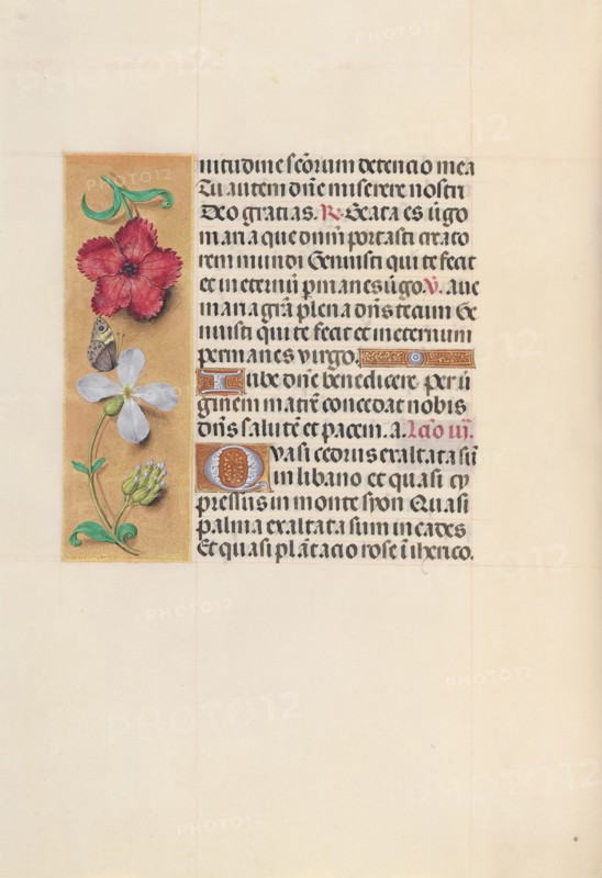 Hours of Queen Isabella the Catholic, Queen of Spain:  Fol. 111v, c. 1500. And associates Master of the First Prayerbook of Maximillian (Flemish, c. 1444-1519). Ink, tempera, and gold on vellum; codex: 22.5 x 15.2 cm (8 7/8 x 6 in.)