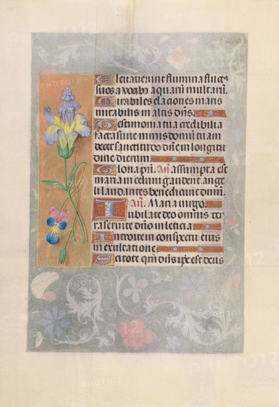Hours of Queen Isabella the Catholic, Queen of Spain:  Fol. 116v, c. 1500. And associates Master of the First Prayerbook of Maximillian (Flemish, c. 1444-1519). Ink, tempera, and gold on vellum; codex: 22.5 x 15.2 cm (8 7/8 x 6 in.)