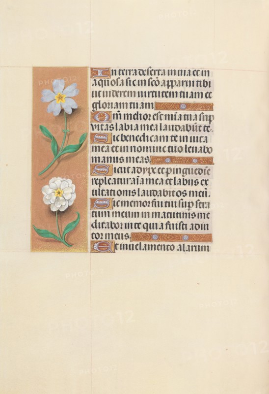 Hours of Queen Isabella the Catholic, Queen of Spain:  Fol. 117v, c. 1495-1500. And associates Master of the First Prayerbook of Maximillian (Flemish, c. 1444-1519). Ink, tempera, and gold on vellum; codex: 22.5 x 15.2 cm (8 7/8 x 6 in.).