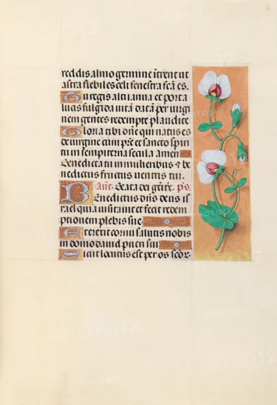 Hours of Queen Isabella the Catholic, Queen of Spain:  Fol. 123r, c. 1500. And associates Master of the First Prayerbook of Maximillian (Flemish, c. 1444-1519). Ink, tempera, and gold on vellum; codex: 22.5 x 15.2 cm (8 7/8 x 6 in.)