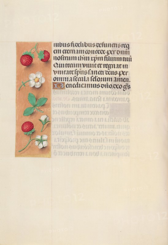 Hours of Queen Isabella the Catholic, Queen of Spain:  Fol. 125v, c. 1500. And associates Master of the First Prayerbook of Maximillian (Flemish, c. 1444-1519). Ink, tempera, and gold on vellum; codex: 22.5 x 15.2 cm (8 7/8 x 6 in.)
