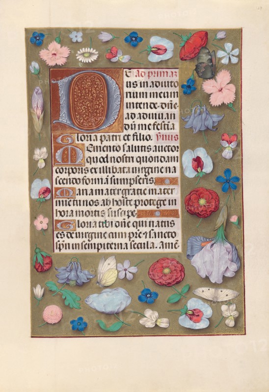 Hours of Queen Isabella the Catholic, Queen of Spain:  Fol. 127r, c. 1500. And associates Master of the First Prayerbook of Maximillian (Flemish, c. 1444-1519). Ink, tempera, and gold on vellum; codex: 22.5 x 15.2 cm (8 7/8 x 6 in.)