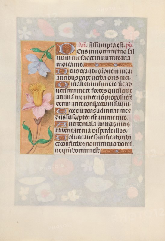 Hours of Queen Isabella the Catholic, Queen of Spain:  Fol. 127v, c. 1495-1500. And associates Master of the First Prayerbook of Maximillian (Flemish, c. 1444-1519). Ink, tempera, and gold on vellum; codex: 22.5 x 15.2 cm (8 7/8 x 6 in.).