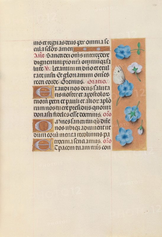Hours of Queen Isabella the Catholic, Queen of Spain:  Fol. 130r, c. 1500. And associates Master of the First Prayerbook of Maximillian (Flemish, c. 1444-1519). Ink, tempera, and gold on vellum; codex: 22.5 x 15.2 cm (8 7/8 x 6 in.)
