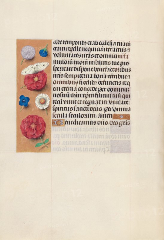 Hours of Queen Isabella the Catholic, Queen of Spain:  Fol. 130v, c. 1495-1500. And associates Master of the First Prayerbook of Maximillian (Flemish, c. 1444-1519). Ink, tempera, and gold on vellum; codex: 22.5 x 15.2 cm (8 7/8 x 6 in.).