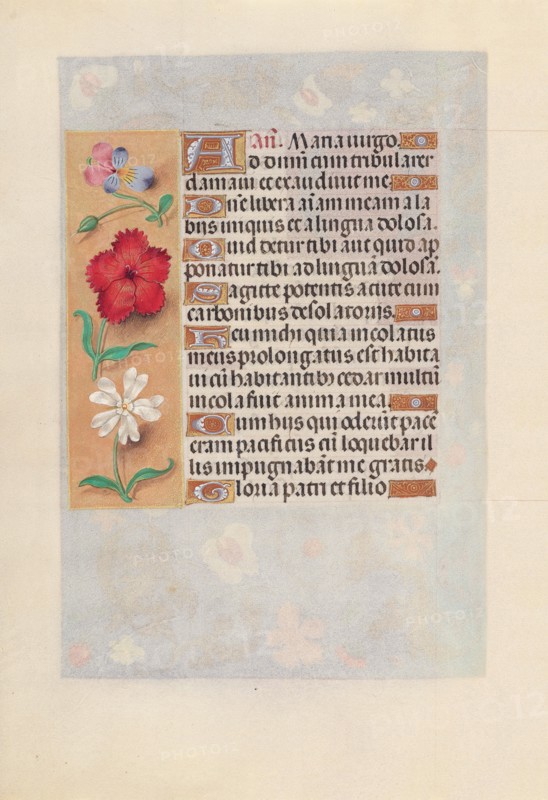 Hours of Queen Isabella the Catholic, Queen of Spain:  Fol. 132v, c. 1495-1500. And associates Master of the First Prayerbook of Maximillian (Flemish, c. 1444-1519). Ink, tempera, and gold on vellum; codex: 22.5 x 15.2 cm (8 7/8 x 6 in.).