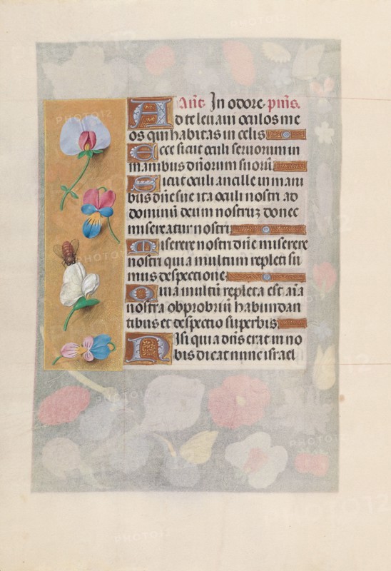 Hours of Queen Isabella the Catholic, Queen of Spain:  Fol. 137v, c. 1495-1500. And associates Master of the First Prayerbook of Maximillian (Flemish, c. 1444-1519). Ink, tempera, and gold on vellum; codex: 22.5 x 15.2 cm (8 7/8 x 6 in.).