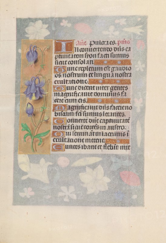 Hours of Queen Isabella the Catholic, Queen of Spain:  Fol. 142v, c. 1500. And associates Master of the First Prayerbook of Maximillian (Flemish, c. 1444-1519). Ink, tempera, and gold on vellum; codex: 22.5 x 15.2 cm (8 7/8 x 6 in.)