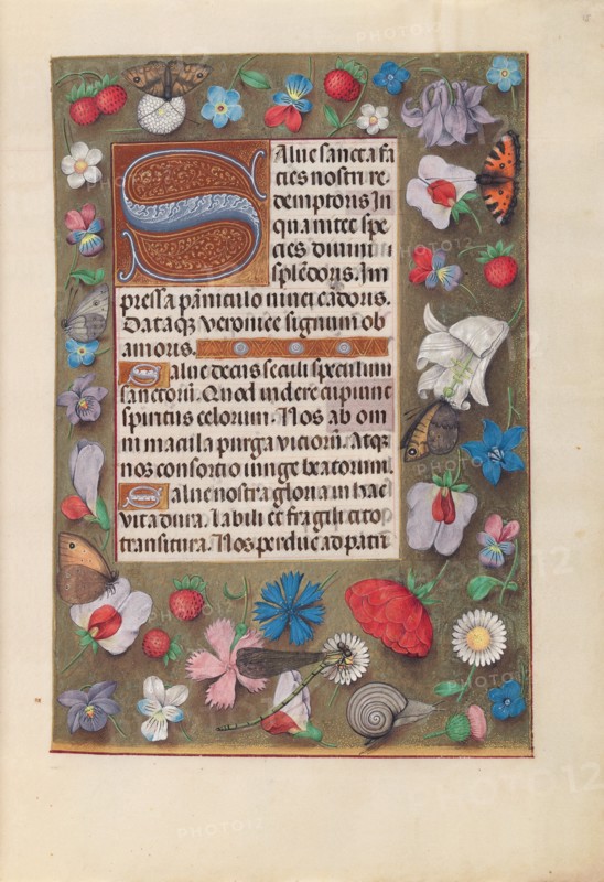 Hours of Queen Isabella the Catholic, Queen of Spain:  Fol. 15r, c. 1495-1500. And associates Master of the First Prayerbook of Maximillian (Flemish, c. 1444-1519). Ink, tempera, and gold on vellum; codex: 22.5 x 15.2 cm (8 7/8 x 6 in.).
