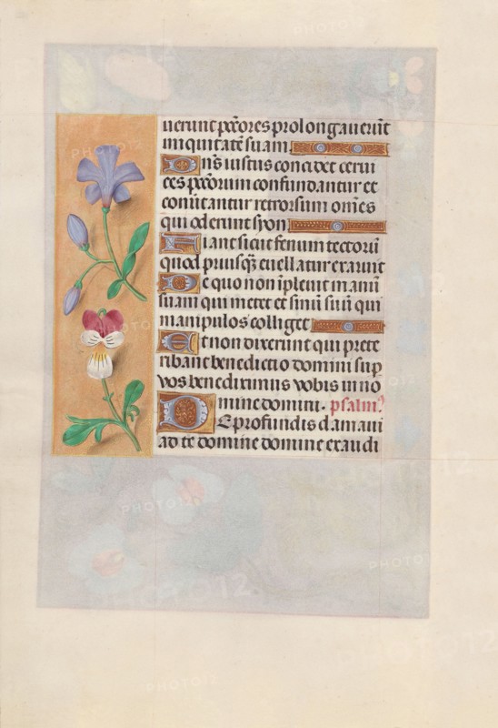 Hours of Queen Isabella the Catholic, Queen of Spain:  Fol. 155v, c. 1495-1500. And associates Master of the First Prayerbook of Maximillian (Flemish, c. 1444-1519). Ink, tempera, and gold on vellum; codex: 22.5 x 15.2 cm (8 7/8 x 6 in.).