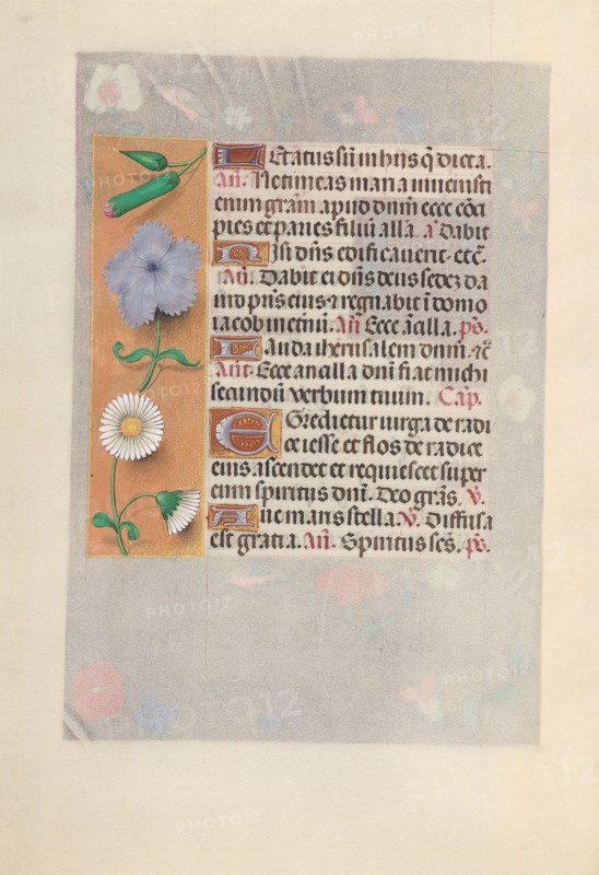 Hours of Queen Isabella the Catholic, Queen of Spain:  Fol. 160v, c. 1495-1500. And associates Master of the First Prayerbook of Maximillian (Flemish, c. 1444-1519). Ink, tempera, and gold on vellum; codex: 22.5 x 15.2 cm (8 7/8 x 6 in.).