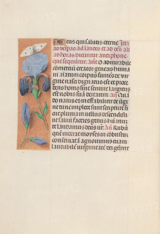 Hours of Queen Isabella the Catholic, Queen of Spain:  Fol. 165v, c. 1495-1500. And associates Master of the First Prayerbook of Maximillian (Flemish, c. 1444-1519). Ink, tempera, and gold on vellum; codex: 22.5 x 15.2 cm (8 7/8 x 6 in.).