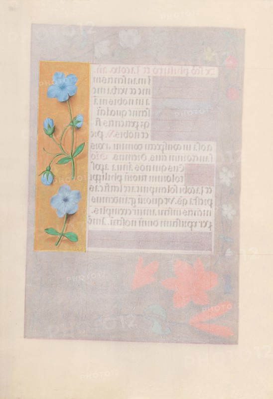 Hours of Queen Isabella the Catholic, Queen of Spain:  Fol. 176v, c. 1500. And associates Master of the First Prayerbook of Maximillian (Flemish, c. 1444-1519). Ink, tempera, and gold on vellum; codex: 22.5 x 15.2 cm (8 7/8 x 6 in.)