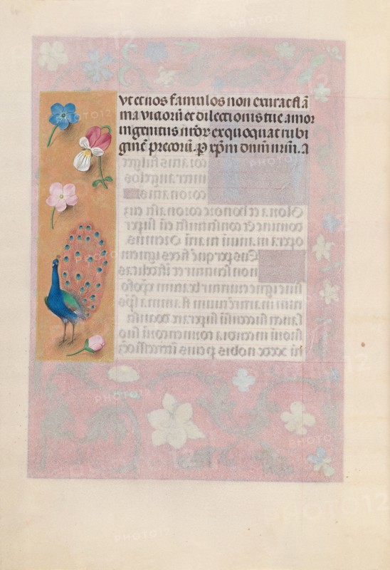 Hours of Queen Isabella the Catholic, Queen of Spain:  Fol. 180v, c. 1500. And associates Master of the First Prayerbook of Maximillian (Flemish, c. 1444-1519). Ink, tempera, and gold on vellum; codex: 22.5 x 15.2 cm (8 7/8 x 6 in.)
