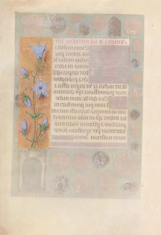 Hours of Queen Isabella the Catholic, Queen of Spain:  Fol. 184v, c. 1500. And associates Master of the First Prayerbook of Maximillian (Flemish, c. 1444-1519). Ink, tempera, and gold on vellum; codex: 22.5 x 15.2 cm (8 7/8 x 6 in.)