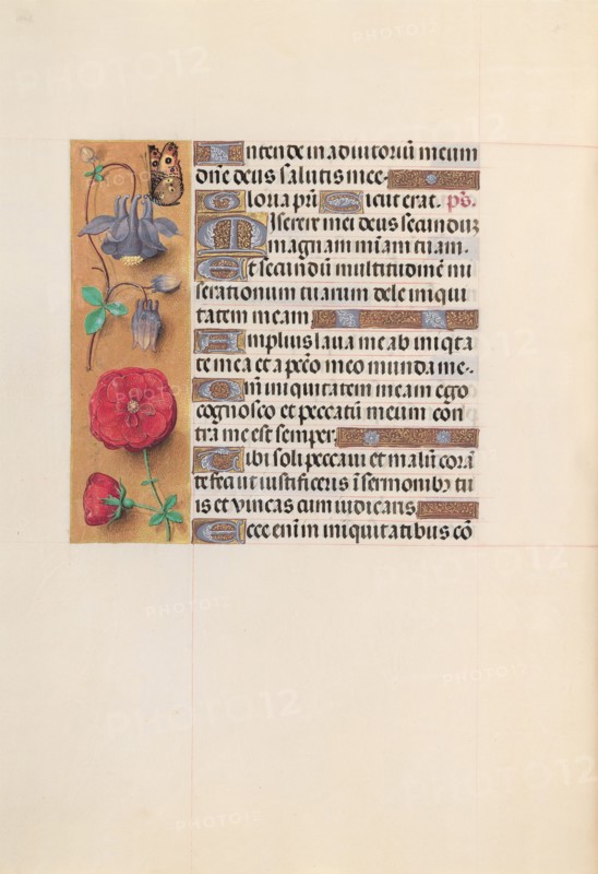 Hours of Queen Isabella the Catholic, Queen of Spain:  Fol. 204v, c. 1500. And associates Master of the First Prayerbook of Maximillian (Flemish, c. 1444-1519). Ink, tempera, and gold on vellum; codex: 22.5 x 15.2 cm (8 7/8 x 6 in.)