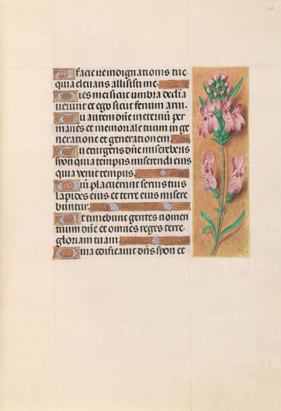 Hours of Queen Isabella the Catholic, Queen of Spain:  Fol. 207r, c. 1500. And associates Master of the First Prayerbook of Maximillian (Flemish, c. 1444-1519). Ink, tempera, and gold on vellum; codex: 22.5 x 15.2 cm (8 7/8 x 6 in.)