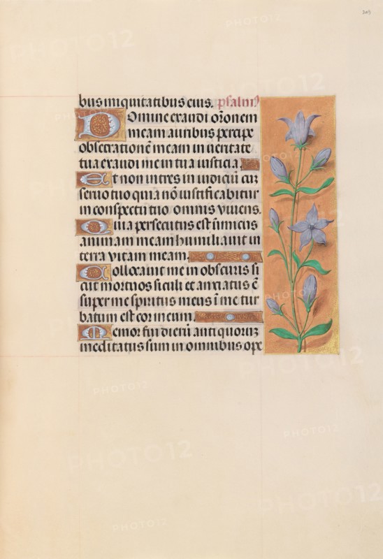 Hours of Queen Isabella the Catholic, Queen of Spain:  Fol. 209r, c. 1495-1500. And associates Master of the First Prayerbook of Maximillian (Flemish, c. 1444-1519). Ink, tempera, and gold on vellum; codex: 22.5 x 15.2 cm (8 7/8 x 6 in.).