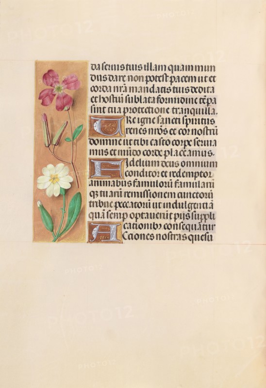 Hours of Queen Isabella the Catholic, Queen of Spain:  Fol. 217v, c. 1495-1500. And associates Master of the First Prayerbook of Maximillian (Flemish, c. 1444-1519). Ink, tempera, and gold on vellum; codex: 22.5 x 15.2 cm (8 7/8 x 6 in.).