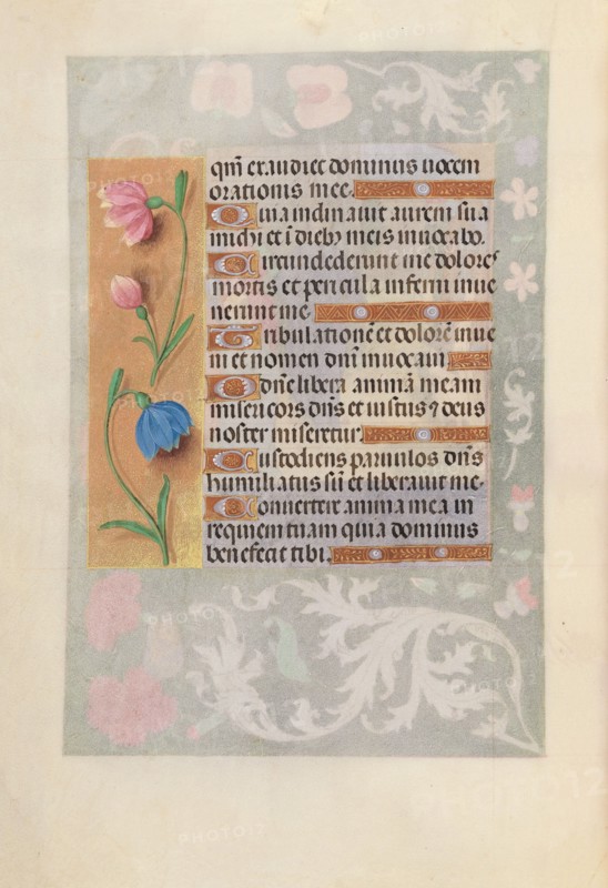 Hours of Queen Isabella the Catholic, Queen of Spain:  Fol. 220v, c. 1495-1500. And associates Master of the First Prayerbook of Maximillian (Flemish, c. 1444-1519). Ink, tempera, and gold on vellum; codex: 22.5 x 15.2 cm (8 7/8 x 6 in.).