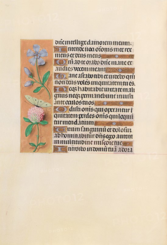 Hours of Queen Isabella the Catholic, Queen of Spain:  Fol. 227v, c. 1500. And associates Master of the First Prayerbook of Maximillian (Flemish, c. 1444-1519). Ink, tempera, and gold on vellum; codex: 22.5 x 15.2 cm (8 7/8 x 6 in.)