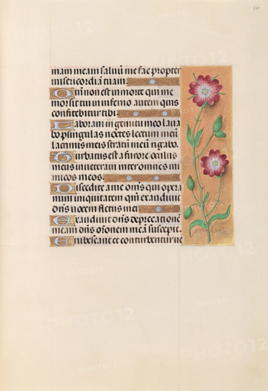 Hours of Queen Isabella the Catholic, Queen of Spain:  Fol. 229r, c. 1495-1500. And associates Master of the First Prayerbook of Maximillian (Flemish, c. 1444-1519). Ink, tempera, and gold on vellum; codex: 22.5 x 15.2 cm (8 7/8 x 6 in.).