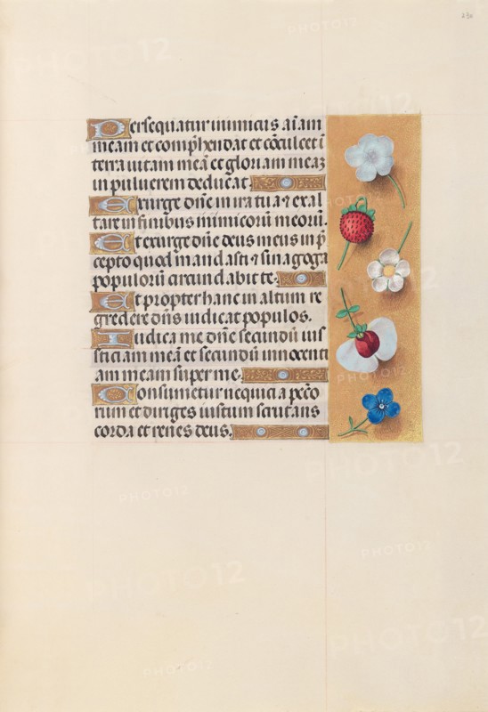 Hours of Queen Isabella the Catholic, Queen of Spain:  Fol. 230r, c. 1500. And associates Master of the First Prayerbook of Maximillian (Flemish, c. 1444-1519). Ink, tempera, and gold on vellum; codex: 22.5 x 15.2 cm (8 7/8 x 6 in.)