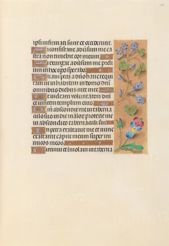 Hours of Queen Isabella the Catholic, Queen of Spain:  Fol. 236r, c. 1500. And associates Master of the First Prayerbook of Maximillian (Flemish, c. 1444-1519). Ink, tempera, and gold on vellum; codex: 22.5 x 15.2 cm (8 7/8 x 6 in.)