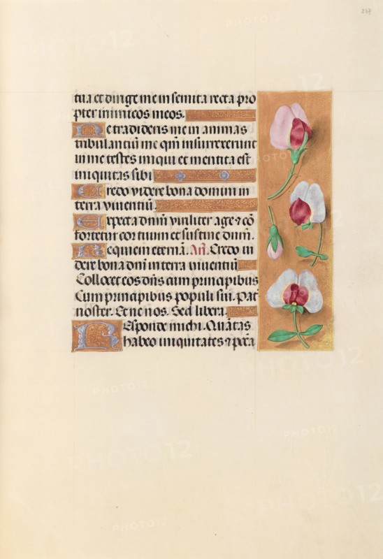 Hours of Queen Isabella the Catholic, Queen of Spain:  Fol. 237r, c. 1500. And associates Master of the First Prayerbook of Maximillian (Flemish, c. 1444-1519). Ink, tempera, and gold on vellum; codex: 22.5 x 15.2 cm (8 7/8 x 6 in.)
