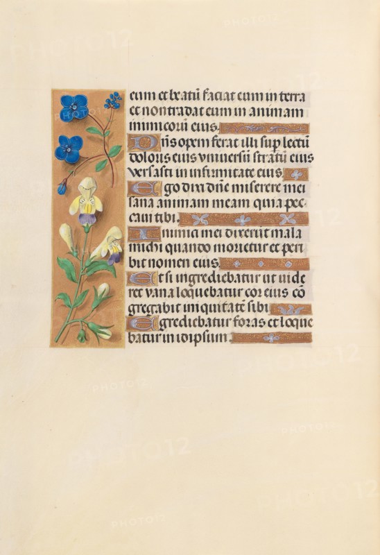 Hours of Queen Isabella the Catholic, Queen of Spain:  Fol. 241v, c. 1495-1500. And associates Master of the First Prayerbook of Maximillian (Flemish, c. 1444-1519). Ink, tempera, and gold on vellum; codex: 22.5 x 15.2 cm (8 7/8 x 6 in.).
