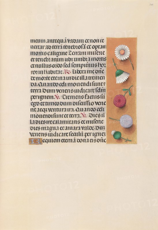 Hours of Queen Isabella the Catholic, Queen of Spain:  Fol. 245r, c. 1500. And associates Master of the First Prayerbook of Maximillian (Flemish, c. 1444-1519). Ink, tempera, and gold on vellum; codex: 22.5 x 15.2 cm (8 7/8 x 6 in.)